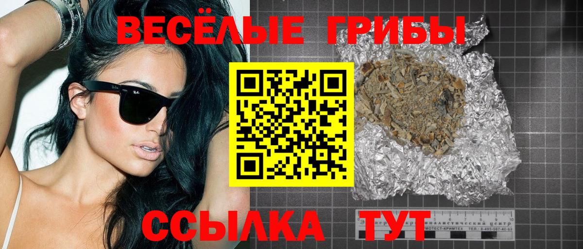 Псилоцибиновые грибы мицелий Донецк