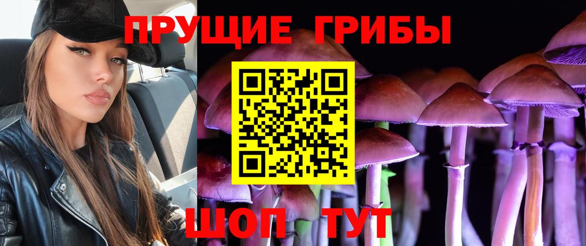 Псилоцибиновые грибы мухоморы  Вход с VPN  Галлюциногенные грибы GOLDEN TEACHER  Донецк 